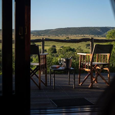 Hillsnek Safari Camp - Rezervaţia Naturală Amakhala Exterior foto