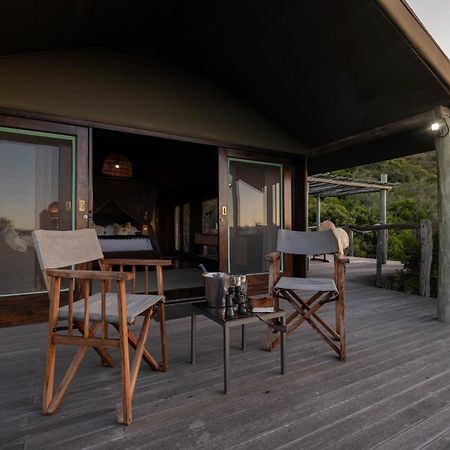 Hillsnek Safari Camp - Rezervaţia Naturală Amakhala Exterior foto