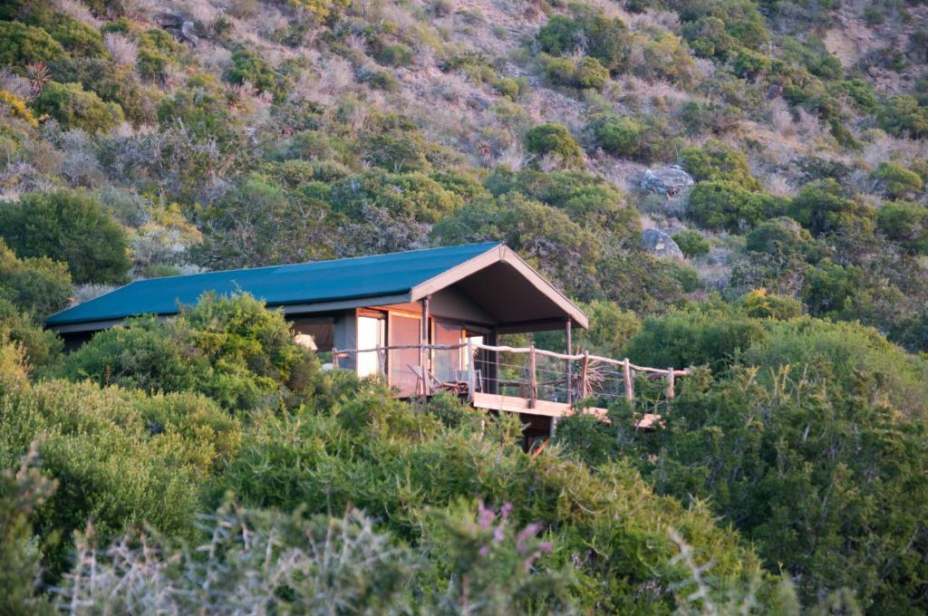 Hillsnek Safari Camp - Rezervaţia Naturală Amakhala Cameră foto