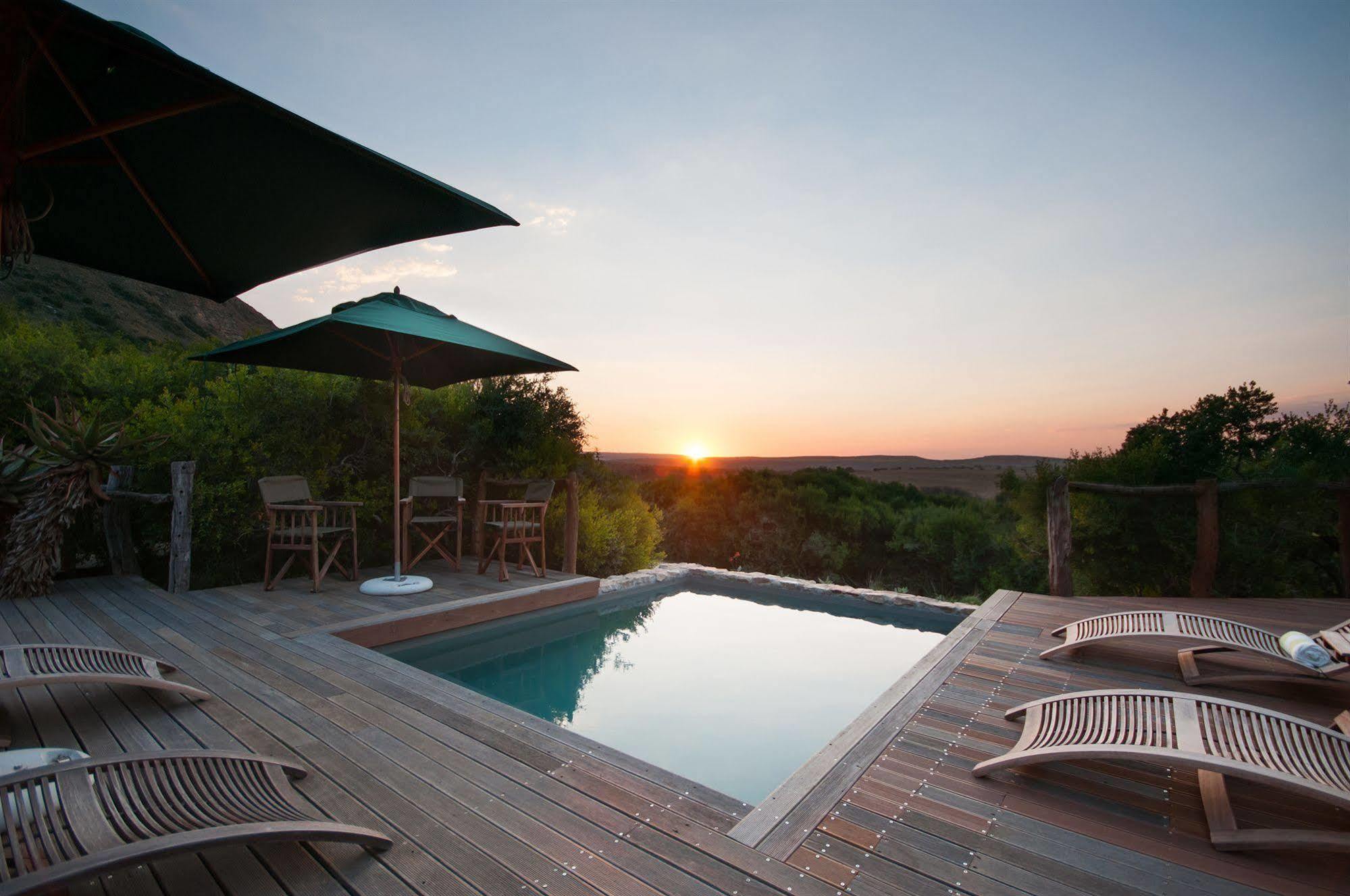 Hillsnek Safari Camp - Rezervaţia Naturală Amakhala Exterior foto