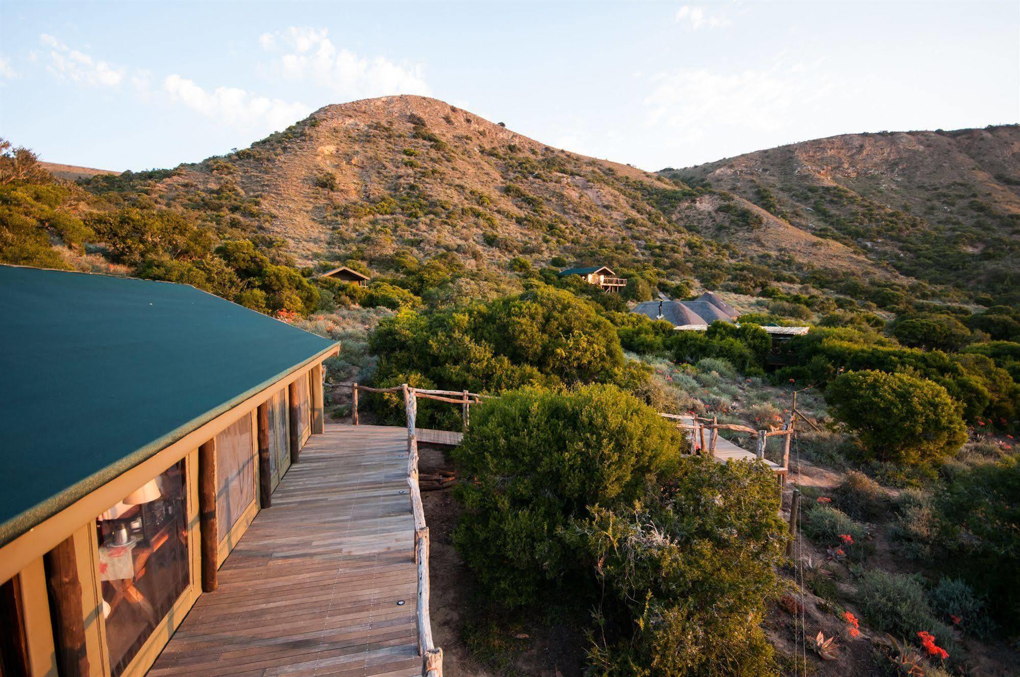 Hillsnek Safari Camp - Rezervaţia Naturală Amakhala Exterior foto