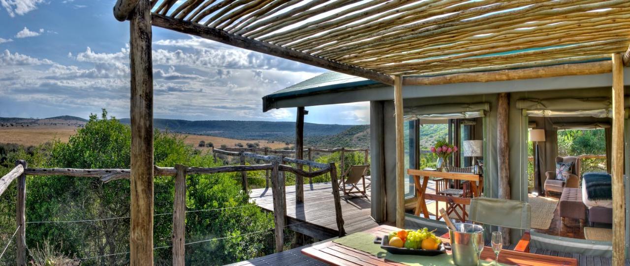 Hillsnek Safari Camp - Rezervaţia Naturală Amakhala Exterior foto
